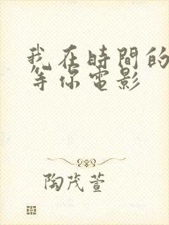 我在时间的尽头等你电影