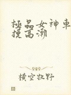 极品女神车内自摸高潮