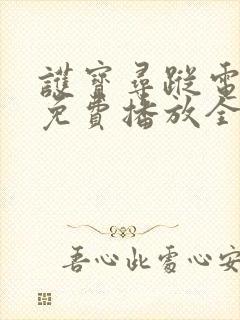 护宝寻踪电视剧免费播放全集