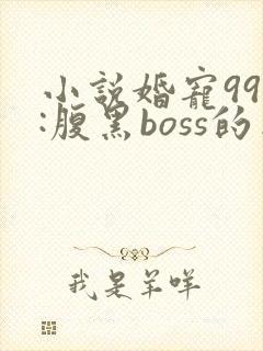 小说婚宠99次:腹黑boss的出逃娇妻