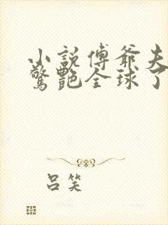 小说傅爷夫人又惊艳全球了