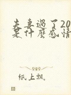 夫妻过了20年是什么感情