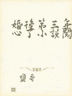 婚后第三年她变心了小说阅读封面