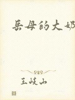 岳母的大奶小说封面