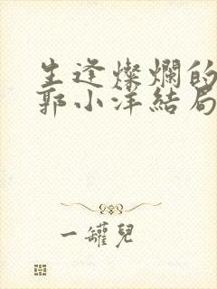 生逢灿烂的日子郭小洋结局