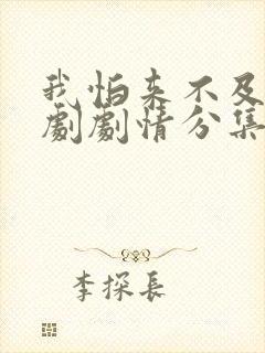 我怕来不及电视剧剧情分集介绍封面