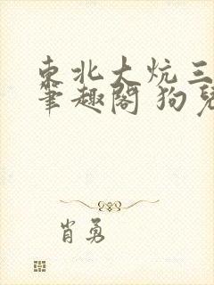 东北大炕三部曲笔趣阁 狗儿