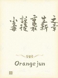 小说重生之将门毒后最新章节列表最