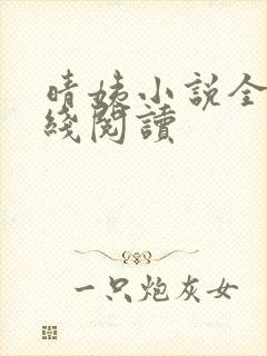 晴姨小说全文在线阅读