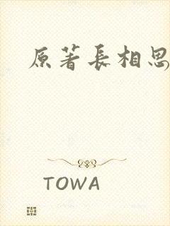 原著长相思结局