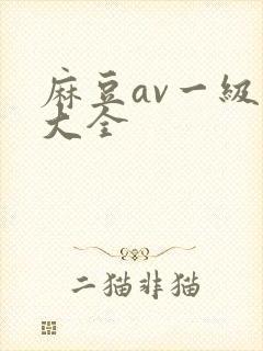 麻豆av一级片大全