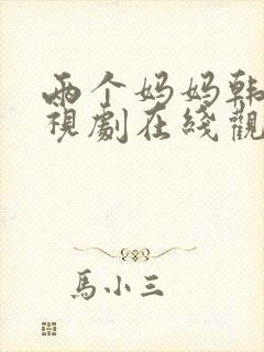 两个妈妈韩版电视剧在线观看全集