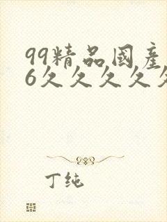 99精品国产96久久久久久