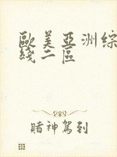 欧美亚洲综合在线二区