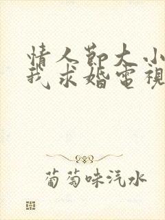 情人节大小姐向我求婚电视剧