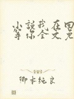 小说我在回忆里等你全文免费阅读