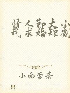 情人节大小姐向我求婚短剧免费看封面