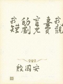 我的盲妻我的心短剧免费观看完整版封面