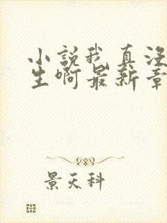 小说我真没想重生啊最新章节