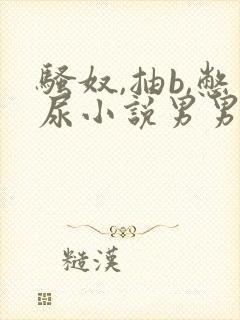 骚奴,抽b,憋尿小说男男封面