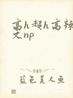 高h超h高辣h文np
