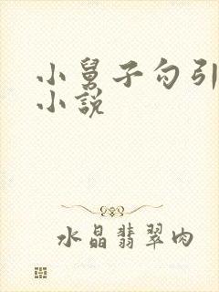 小舅子勾引姐夫小说