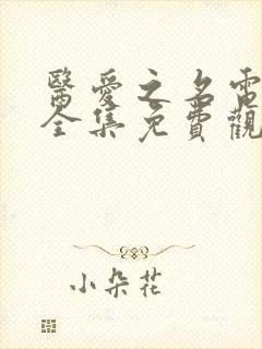 医爱之名电视剧全集免费观看