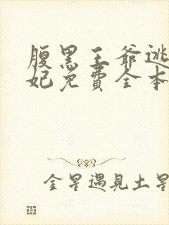 腹黑王爷逃跑王妃免费全本小说