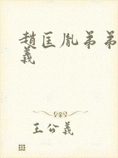 赵匡胤弟弟赵光义