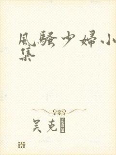 风骚少妇小说全集封面