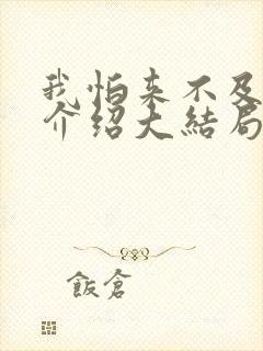 我怕来不及剧情介绍大结局封面