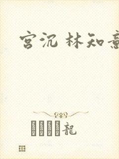 宫沉 林知意