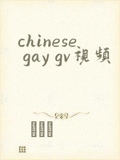 chinese gay gv视频