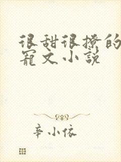 很甜很撩的校园宠文小说