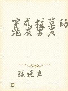 穿成校草的纯1炮灰男友