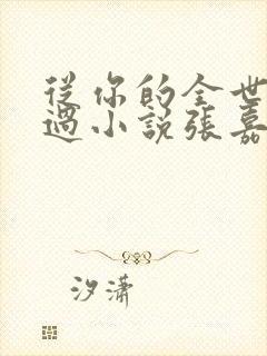 从你的全世界路过小说张嘉佳