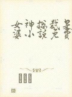 女神总裁是我老婆小说免费阅读