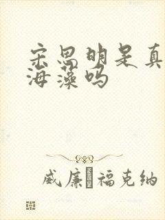 宋思明是真心爱海藻吗