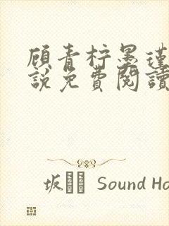 顾青柠墨瑾川小说免费阅读最新章节封面