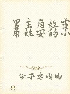 男主角姓霍女主角姓安的小说