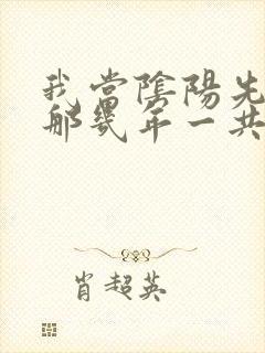 我当阴阳先生的那几年一共几部封面