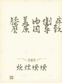 膝盖内侧疼痛什么原因导致的封面