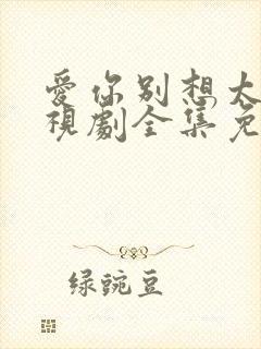 爱你别想太多电视剧全集免费