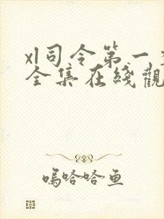 xl司令第一季全集在线观看无马赛克