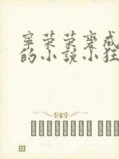 宁荣荣变成荣奴的小说小狂海星