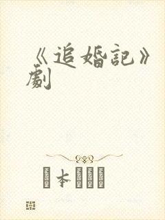 《追婚记》电视剧