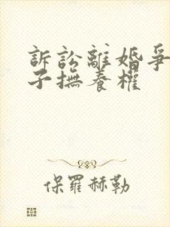 诉讼离婚争夺孩子抚养权