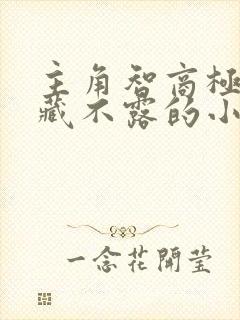 主角智商极高深藏不露的小说