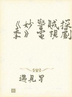 《妙警贼探第一季》电视剧