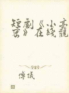 短剧《小亮的秘密》在线观看